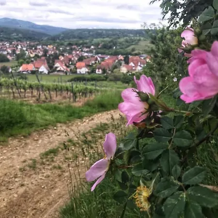 Retour Aux Sources Dom wakacyjny Rosheim